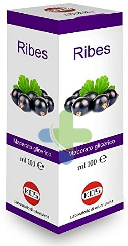 Laboratorio Sodini Ribes Nigrum 100ml