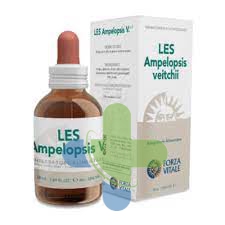 Forza Vitale Italia Les Ampelopsis Weitchii Gocce