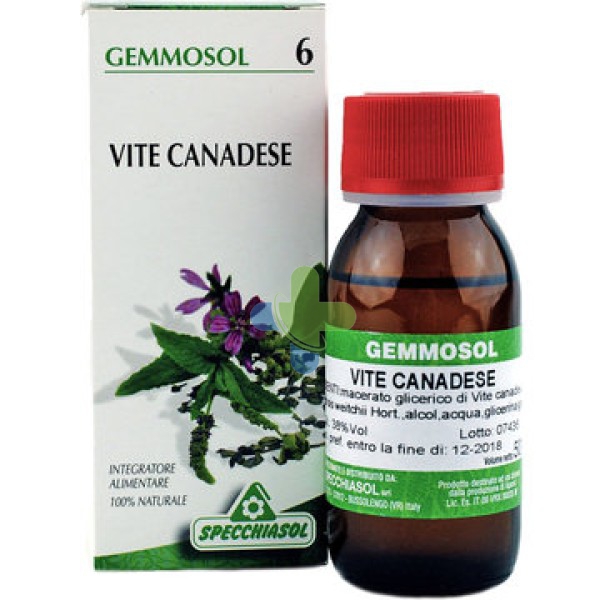 Specchiasol Gemmosol 6 Vite Vergine 50ml