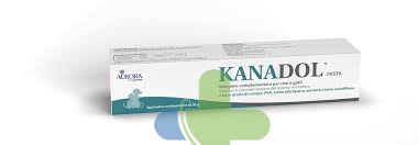 Aurora Biofarma Kanadol Pasta 30g