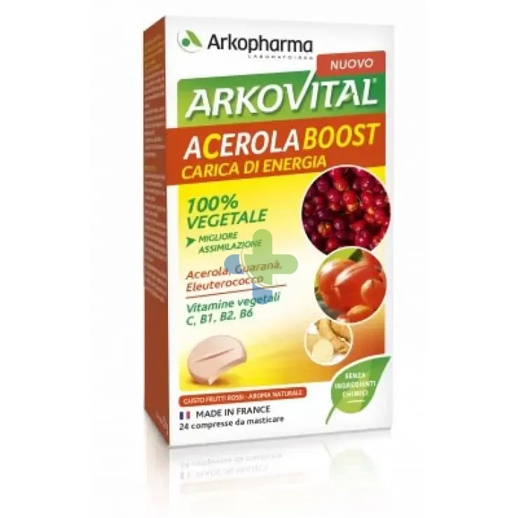 Arkofarm Arkovital Boost 24cpr