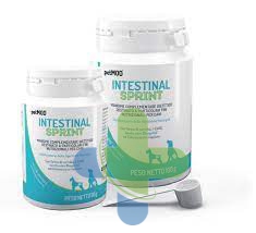 Prosol Petmod Intestinal Sprint 50g